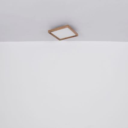 Globo - LED stropna svjetiljka LED/36W/230V 2700/4500/6500K 60x60 cm