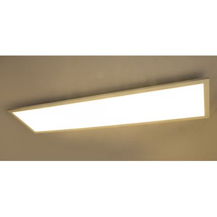 Globo - LED Ugradbeni panel LED/40W/230V