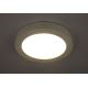GLOBO 41605-24D - LED Prigušiva svjetiljka za kupaonicu PAULA 1xLED/24W/230V