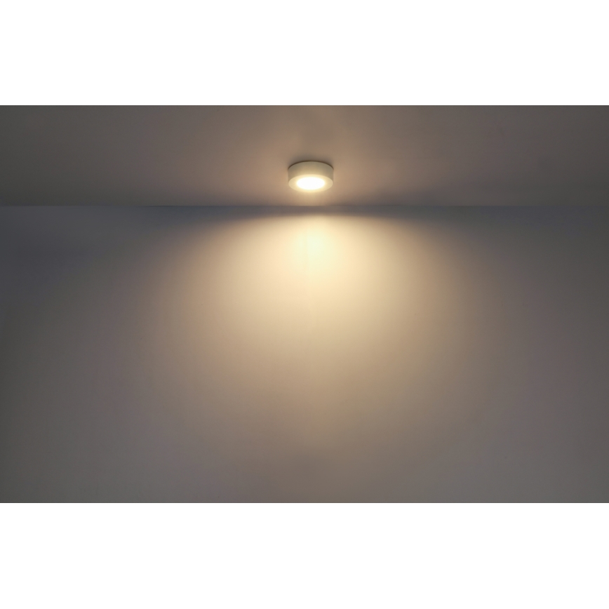 GLOBO - LED Stropna svjetiljka LED/6W/230V