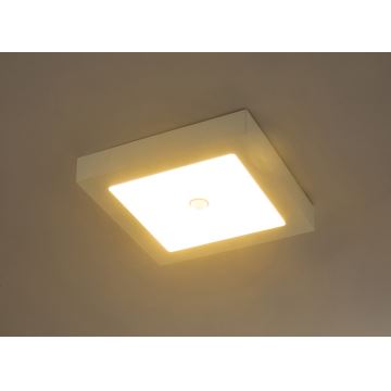 Globo - LED Stropna svjetiljka sa senzorom 1xLED/18W/230V