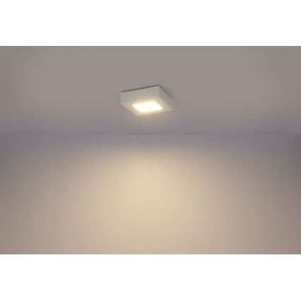 GLOBO - LED Stropna svjetiljka LED/6W/230V