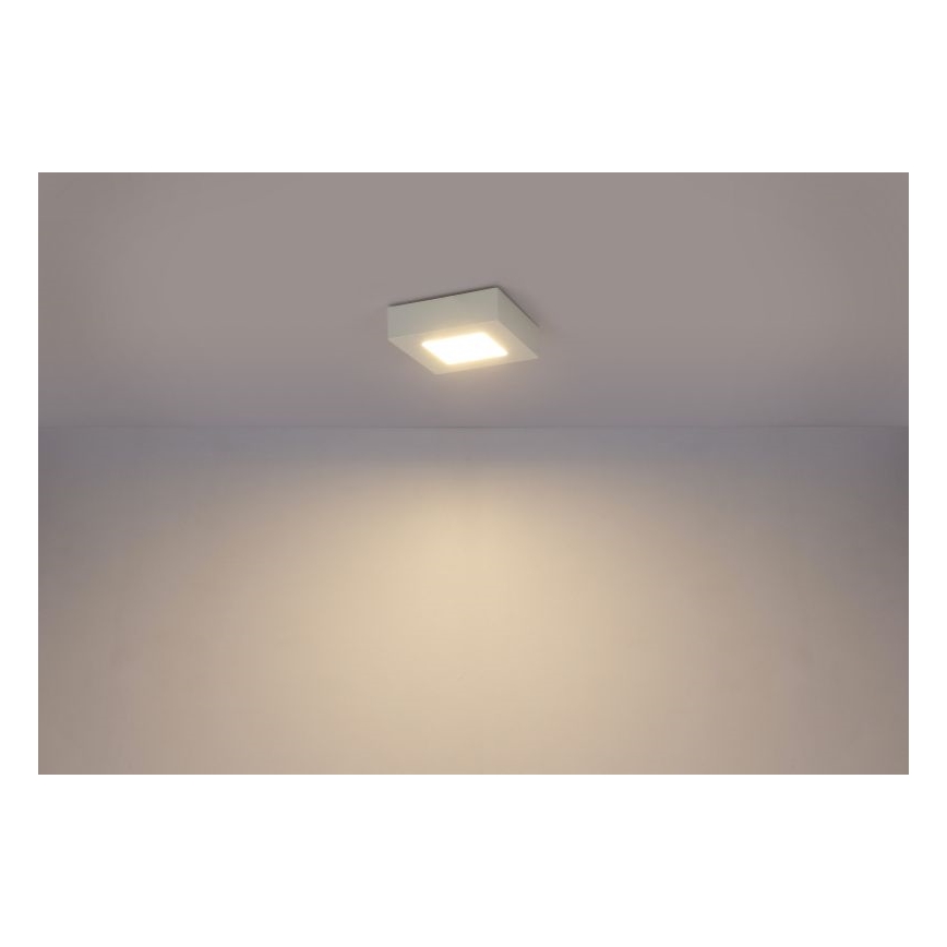 GLOBO - LED Stropna svjetiljka LED/6W/230V