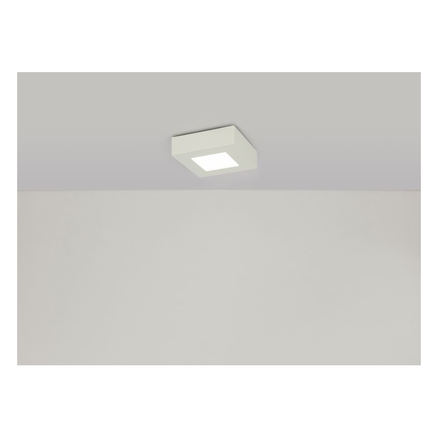 GLOBO - LED Stropna svjetiljka LED/6W/230V
