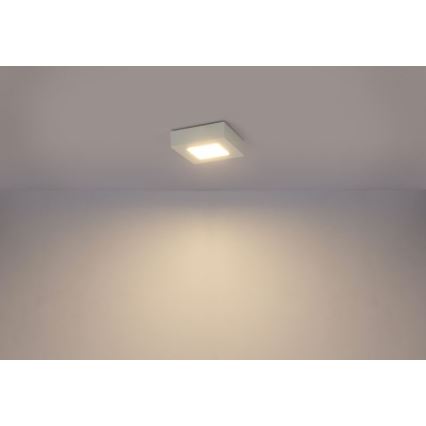 Globo - LED Stropna svjetiljka SVENJA 1xLED/9W/230V 3000/4000/6000K