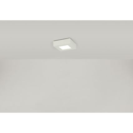 Globo - LED Stropna svjetiljka SVENJA 1xLED/9W/230V 3000/4000/6000K