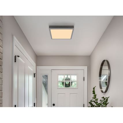 Globo - LED Stropna svjetiljka LED/12W/230V 3000K 30x30 cm
