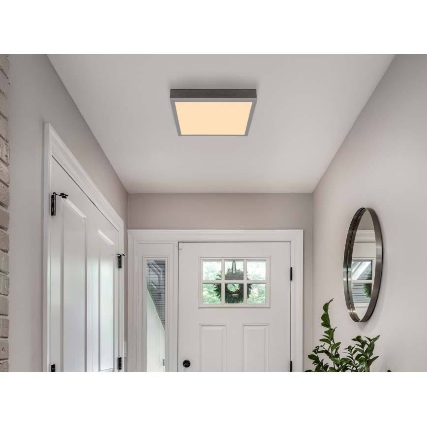 Globo - LED Stropna svjetiljka LED/12W/230V 3000K 30x30 cm