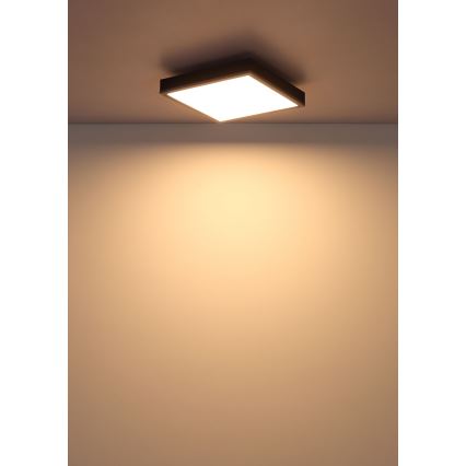 Globo - LED Stropna svjetiljka LED/12W/230V 3000K 30x30 cm