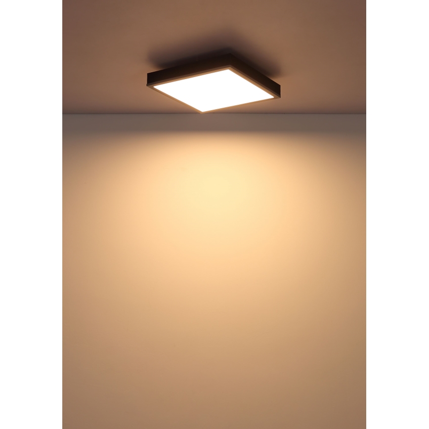 Globo - LED Stropna svjetiljka LED/12W/230V 3000K 30x30 cm