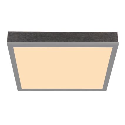 Globo - LED Stropna svjetiljka LED/12W/230V 3000K 30x30 cm