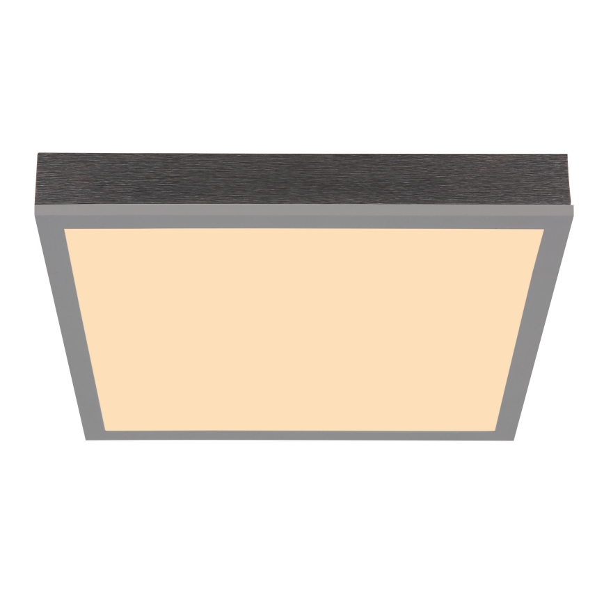 Globo - LED Stropna svjetiljka LED/12W/230V 3000K 30x30 cm