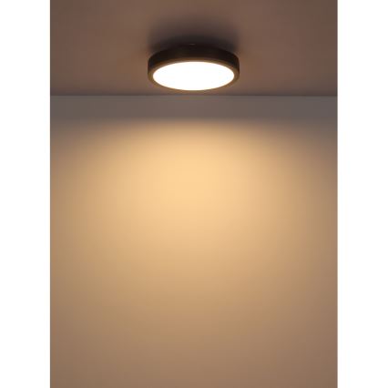 Globo - LED Stropna svjetiljka LED/12W/230V 3000K pr. 30 cm