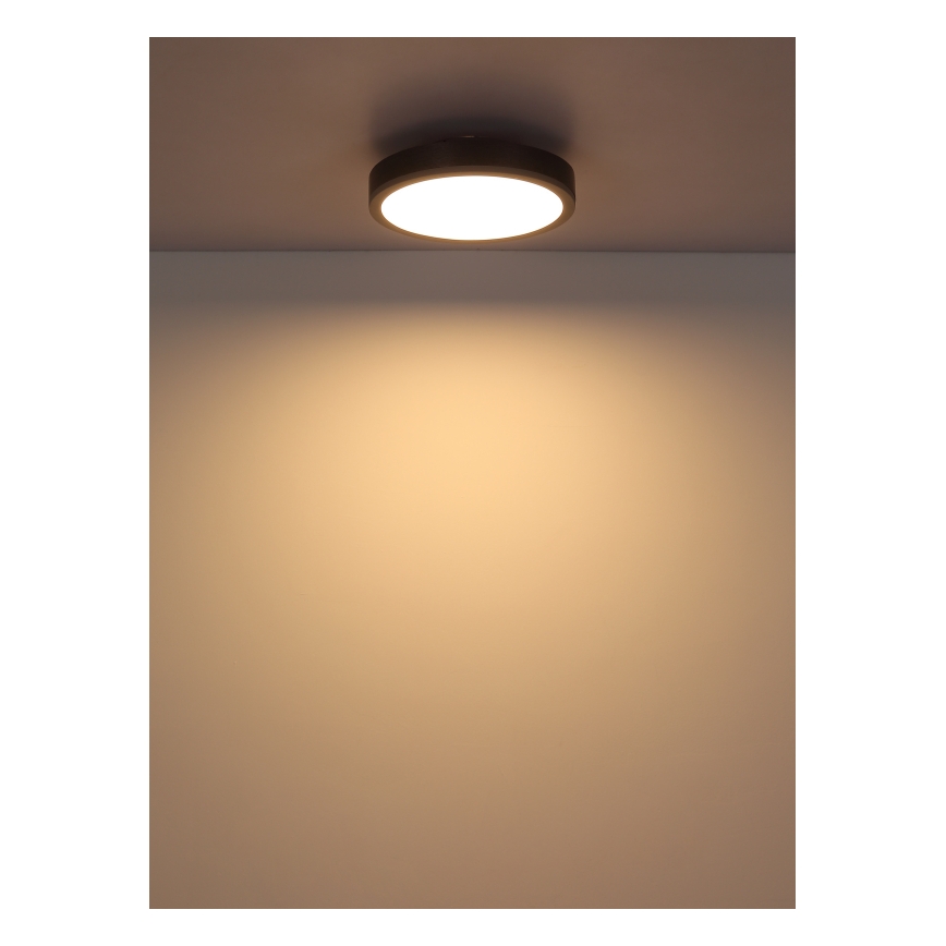 Globo - LED Stropna svjetiljka LED/12W/230V 3000K pr. 30 cm