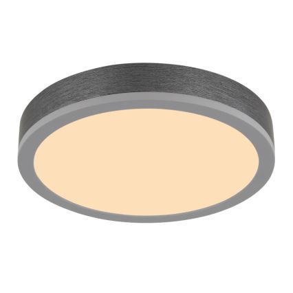 Globo - LED Stropna svjetiljka LED/12W/230V 3000K pr. 30 cm