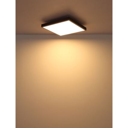 Globo - LED Stropna svjetiljka LED/24W/230V 3000K 45x45 cm