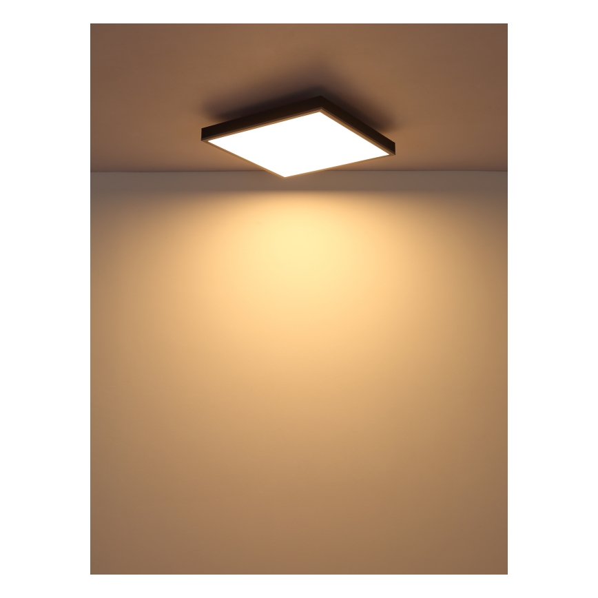 Globo - LED Stropna svjetiljka LED/24W/230V 3000K 45x45 cm