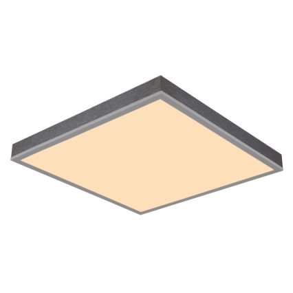 Globo - LED Stropna svjetiljka LED/24W/230V 3000K 45x45 cm