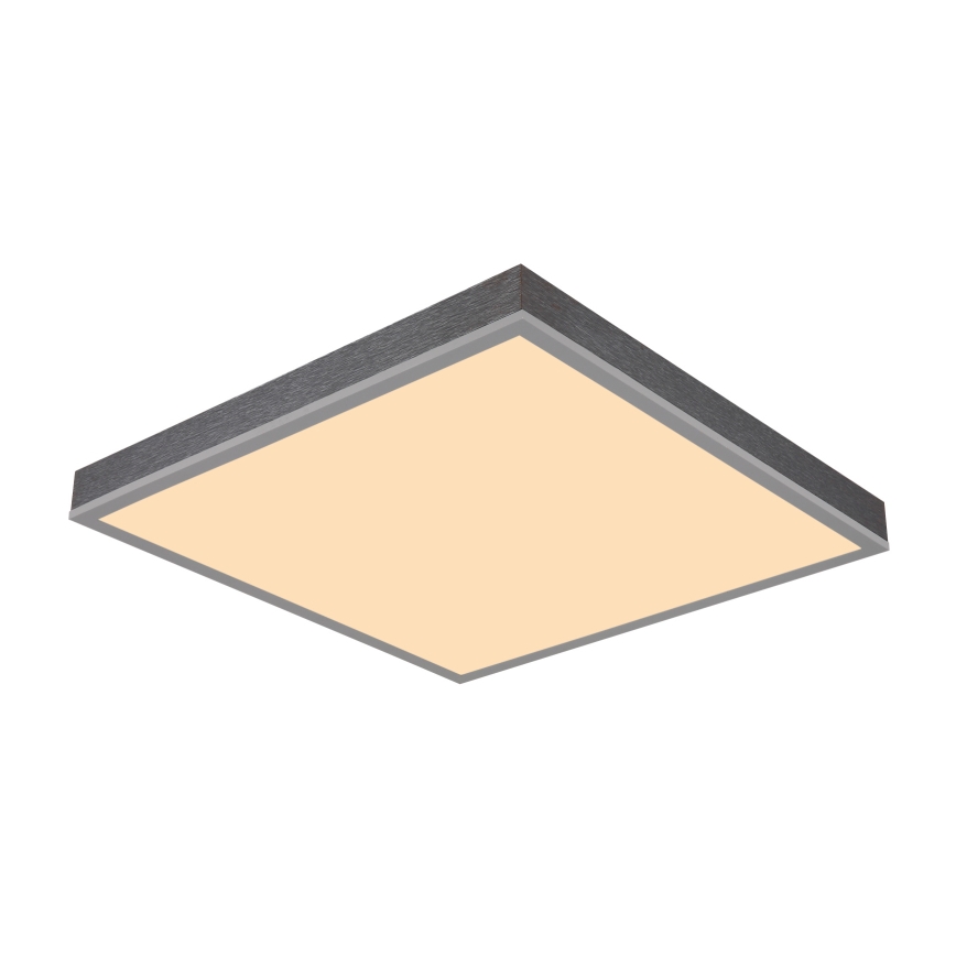 Globo - LED Stropna svjetiljka LED/24W/230V 3000K 45x45 cm