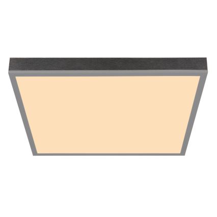 Globo - LED Stropna svjetiljka LED/24W/230V 3000K 45x45 cm