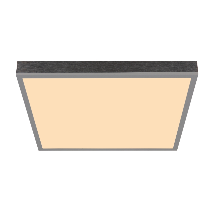 Globo - LED Stropna svjetiljka LED/24W/230V 3000K 45x45 cm