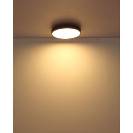 Globo - LED Stropna svjetiljka LED/24W/230V 3000K pr. 45 cm