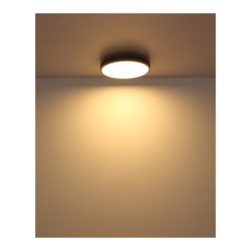 Globo - LED Stropna svjetiljka LED/24W/230V 3000K pr. 45 cm
