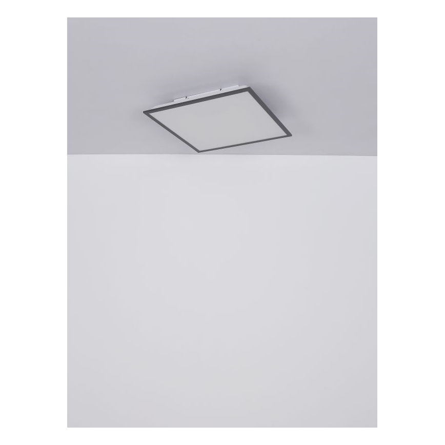 Globo - LED Stropna svjetiljka LED/24W/230V