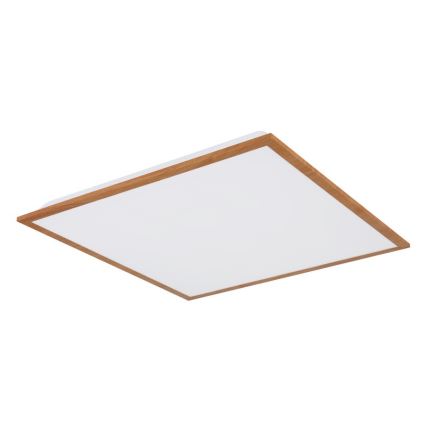 Globo - LED Stropna svjetiljka LED/24W/230V