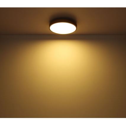 Globo - LED Stropna svjetiljka LED/12W/230V pr. 30 cm