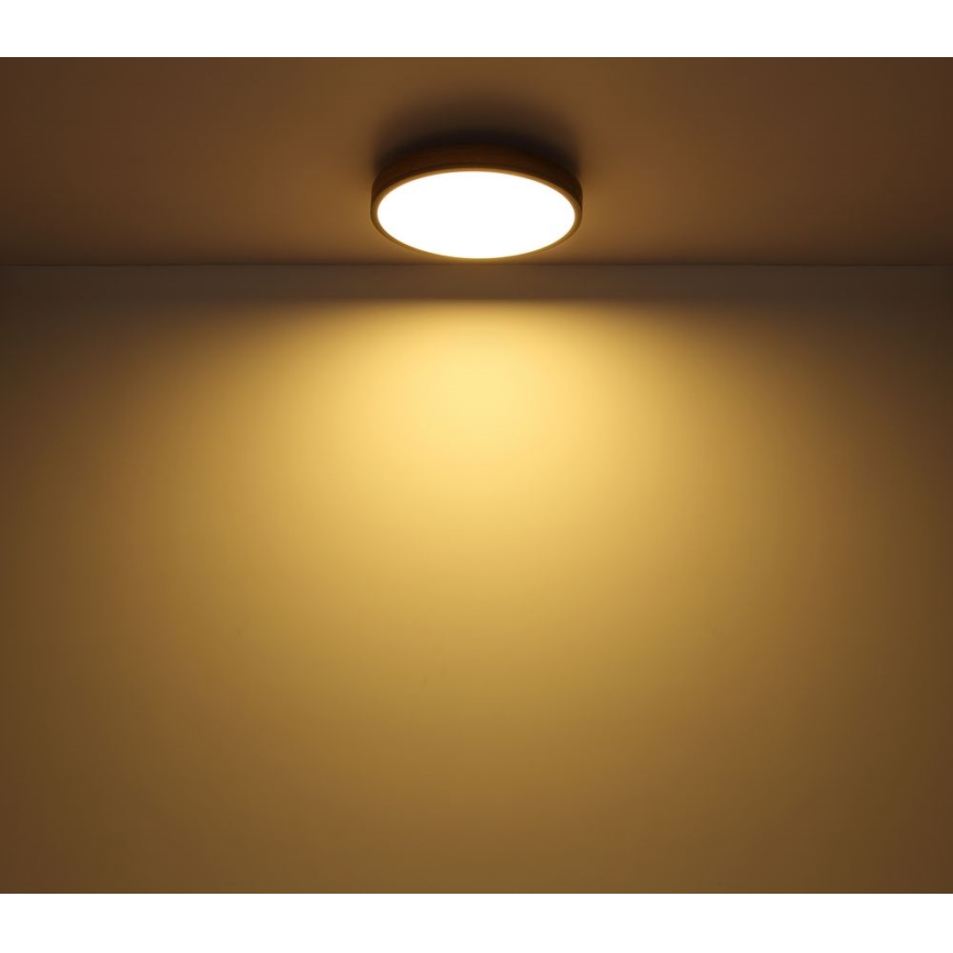 Globo - LED Stropna svjetiljka LED/12W/230V pr. 30 cm