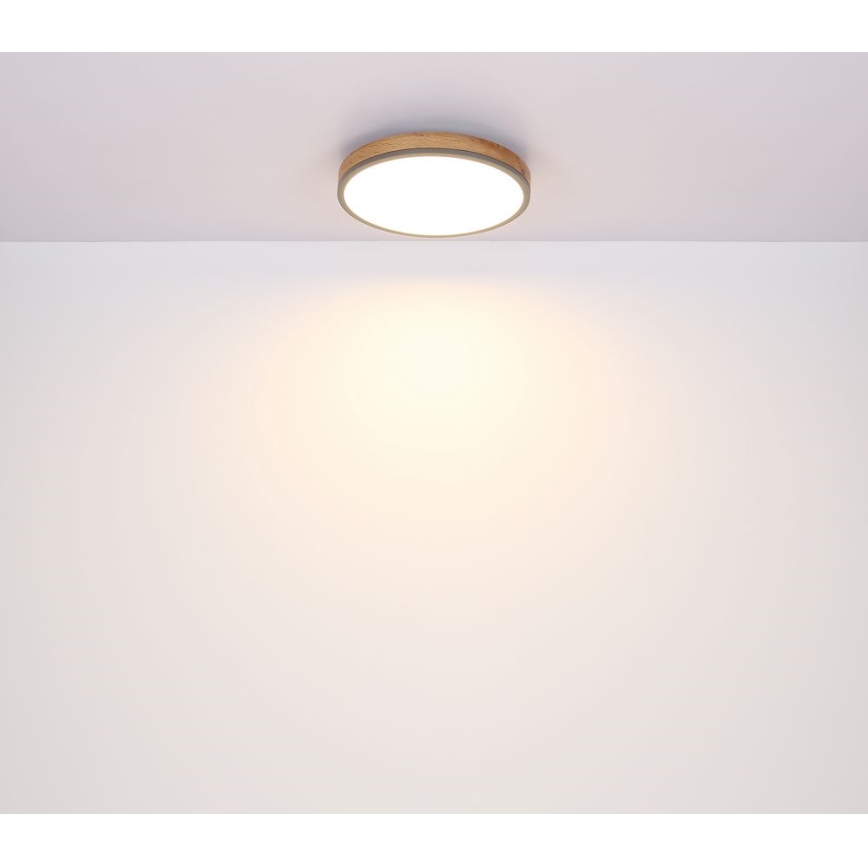 Globo - LED Stropna svjetiljka LED/12W/230V pr. 30 cm