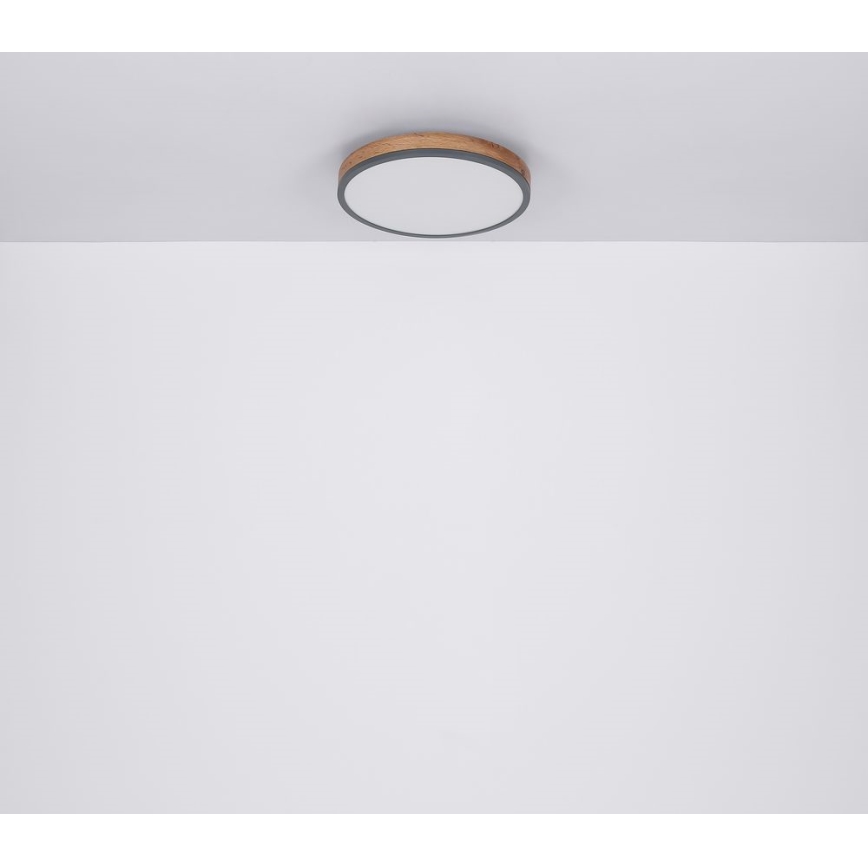 Globo - LED Stropna svjetiljka LED/12W/230V pr. 30 cm