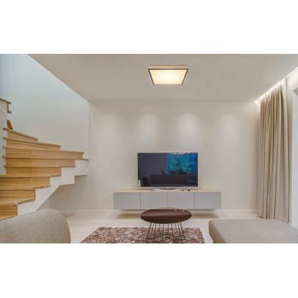Globo - prigušivo LED stropno svjetlo LED/24W/230V 3000-6500K 45x45 cm