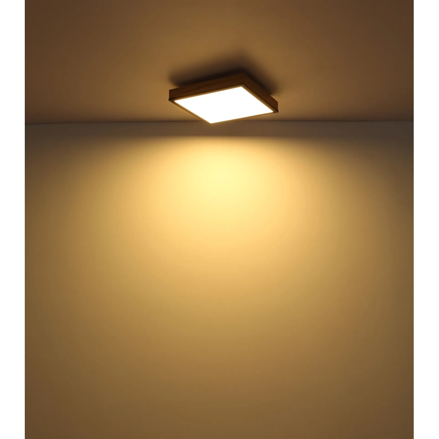 Globo - prigušivo LED stropno svjetlo LED/24W/230V 3000-6500K 45x45 cm