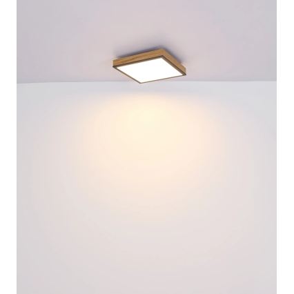 Globo - prigušivo LED stropno svjetlo LED/24W/230V 3000-6500K 45x45 cm