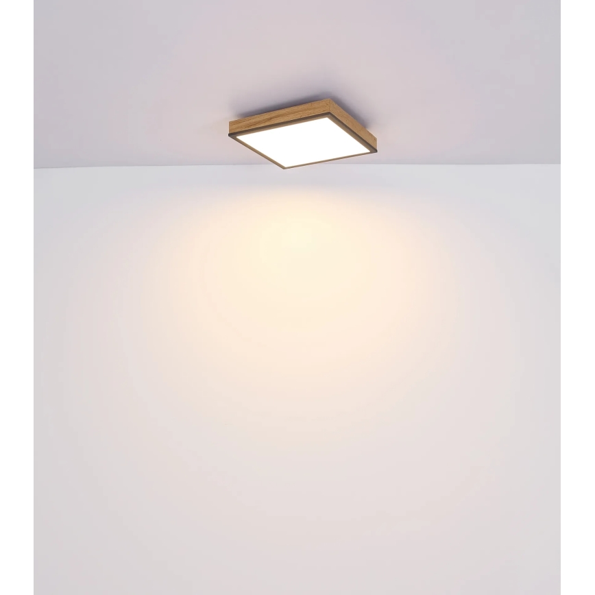Globo - prigušivo LED stropno svjetlo LED/24W/230V 3000-6500K 45x45 cm