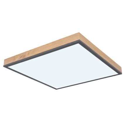 Globo - prigušivo LED stropno svjetlo LED/24W/230V 3000-6500K 45x45 cm