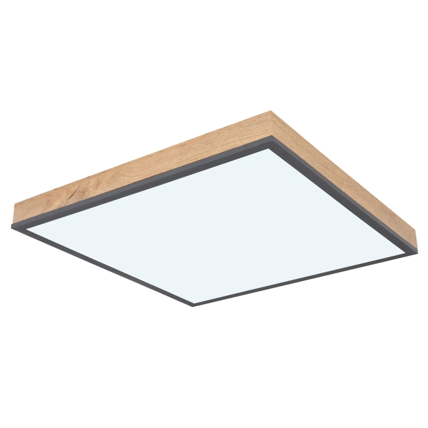 Globo - prigušivo LED stropno svjetlo LED/24W/230V 3000-6500K 45x45 cm