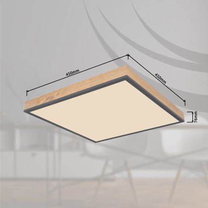 Globo - prigušivo LED stropno svjetlo LED/24W/230V 3000-6500K 45x45 cm