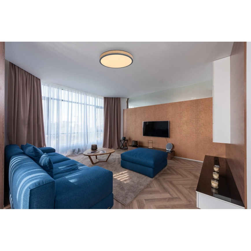 Globo - prigušiva stropna LED svjetiljka LED/24W/230V 2700-6500K Ø 45 cm