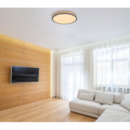 Globo - prigušiva stropna LED svjetiljka LED/24W/230V 2700-6500K Ø 45 cm