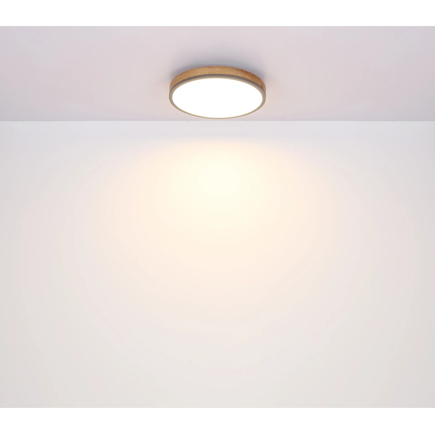 Globo - prigušiva stropna LED svjetiljka LED/24W/230V 2700-6500K Ø 45 cm