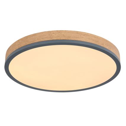 Globo - prigušiva stropna LED svjetiljka LED/24W/230V 2700-6500K Ø 45 cm