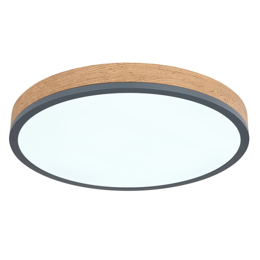 Globo - LED stropna svjetiljka sa mogućnošću prigušivanja LED/24W/230V 3000-6500K Ø 45 cm