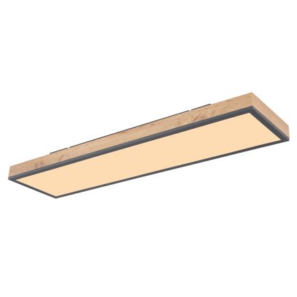 Globo - LED Prigušiva stropna svjetiljka LED/24W/230V 2700-6500K + daljinski upravljač