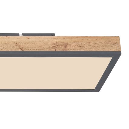 Globo - LED Prigušiva stropna svjetiljka LED/24W/230V 2700-6500K + daljinski upravljač
