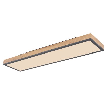 Globo - LED stropna svjetiljka s prigušivanjem LED/24W/230V 2700-6500K + daljinski upravljač