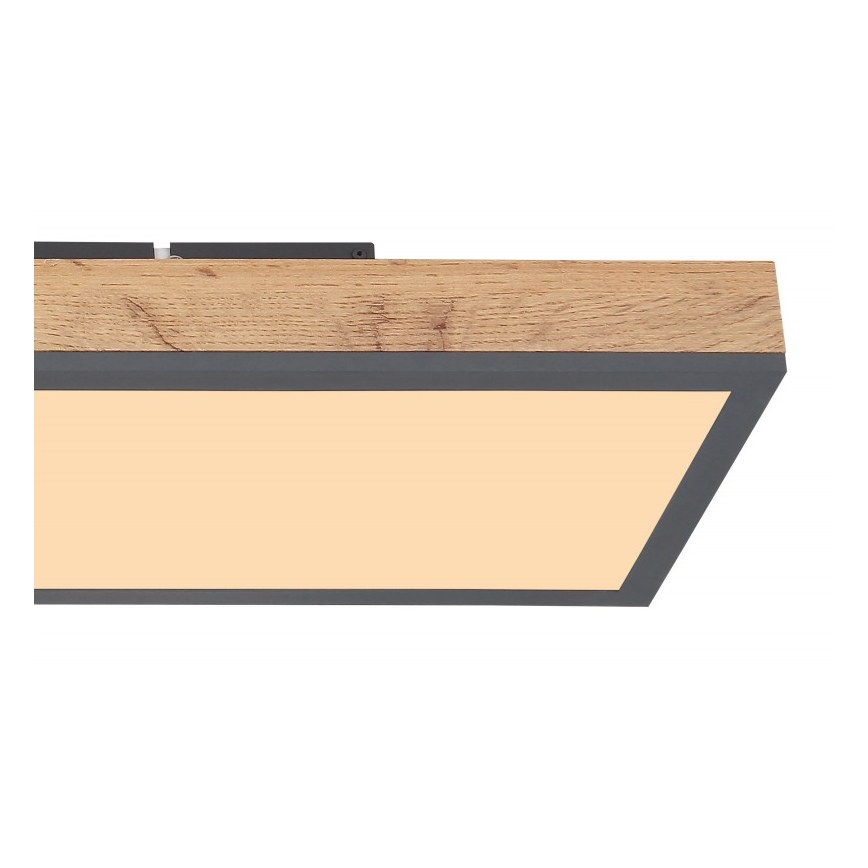 Globo - LED Stropna svjetiljka LED/24W/230V