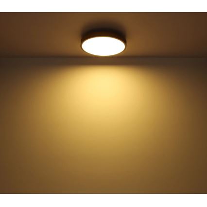 Globo - LED Prigušiva stropna svjetiljka LED/40W/230V 2700-6500K pr. 60 cm + daljinski upravljač smeđa/siva